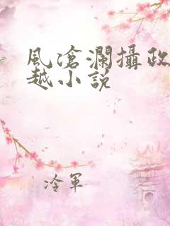 风沧澜摄政王穿越小说