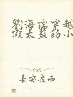 刘海瑞穿越后宫假太监的小说