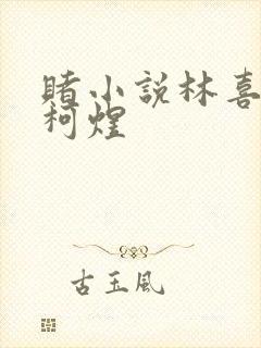 赌小说林喜朝和柯煜