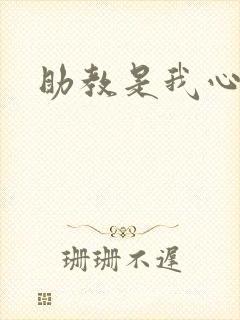 助教是我心尖宠