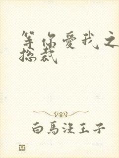 等你爱我之冰山总裁