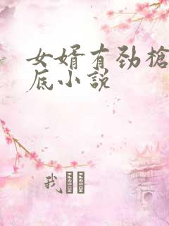 女婿有劲枪枪到底小说