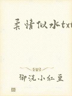 柔情似水txt