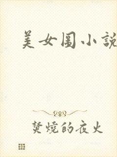 美女图小说下载