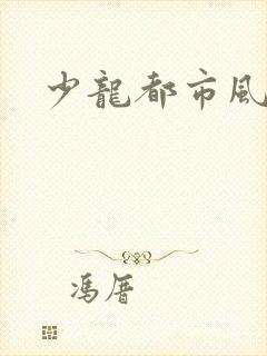 少龙都市风流行
