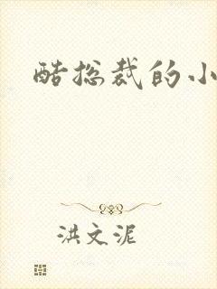 酷总裁的小女佣