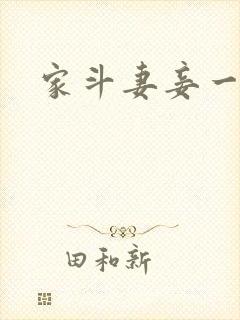 家斗妻妾一家欢