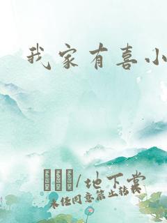 我家有喜小说