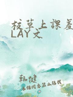 校草上课羞耻PLAY文