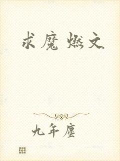 求魔 燃文