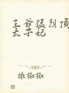 王爷猛烈顶弄H太子妃