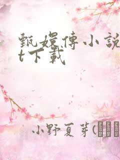 甄嬛传小说txt下载