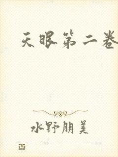 天眼第二卷