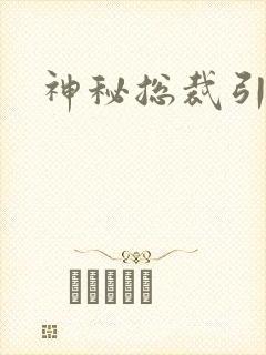 神秘总裁引入怀