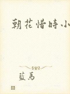 朝花惜时小说