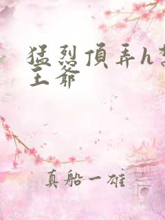 猛烈顶弄h禁欲王爷