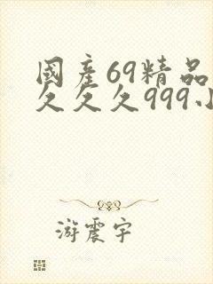 国产69精品久久久久999小说