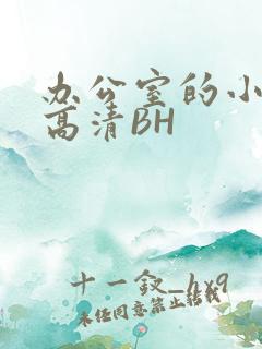 办公室的小秘书高清BH
