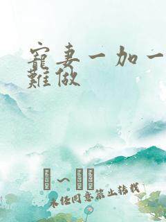 宠妻一加一老婆难做