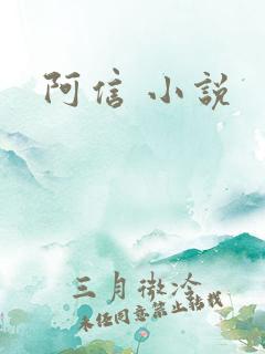 阿信 小说