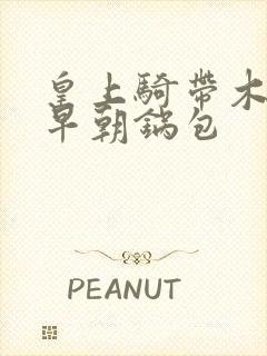 皇上骑带木棒的早朝锅包