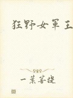 狂野女军王