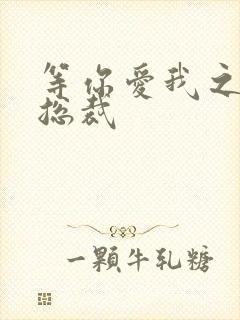 等你爱我之冰山总裁