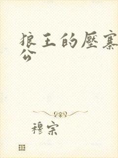 狼王的压寨小相公