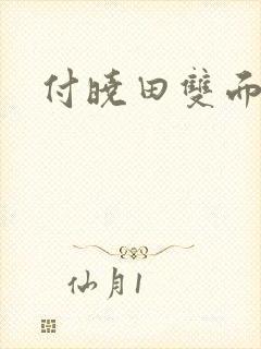 付晓田双面间谍