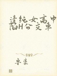 清纯女高中生沦陷H公交车