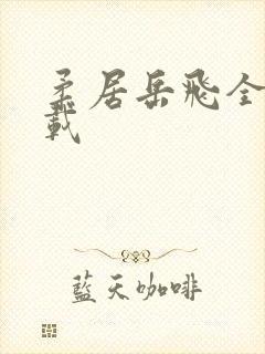 柔居岳飞全传下载