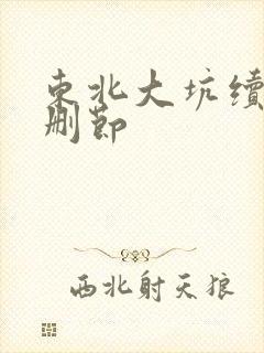 东北大坑续集未删节