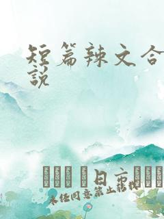 短篇辣文合集小说