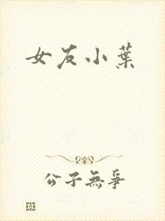 女友小叶