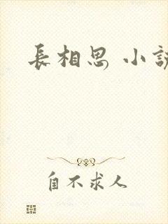 长相思 小说