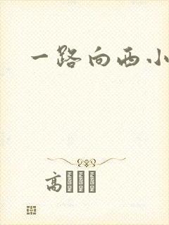 一路向西小说