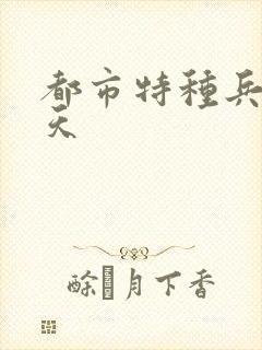 都市特种兵 任天