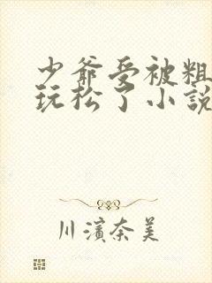 少爷受被粗汉H玩松了小说