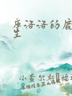 库洛洛的废柴人生