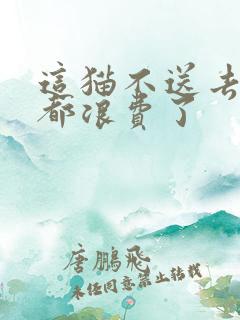 这猫不送去清北都浪费了