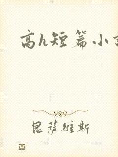 高h短篇小说