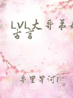 LVL大哥弟媳古言
