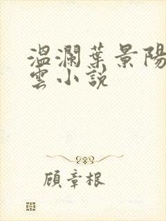 温澜叶景阳温云云小说