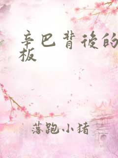 辛巴背后的人老板