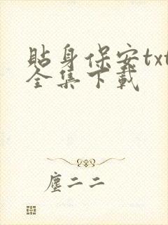 贴身保安txt全集下载