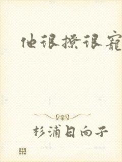 他很撩很宠全文