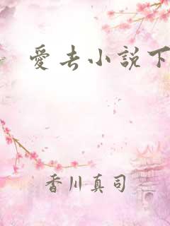 爱去小说下载网