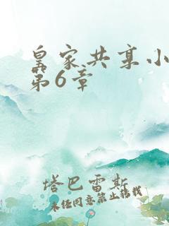 皇家共享小公主第6章