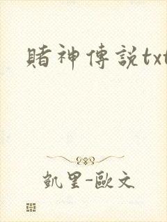 赌神传说txt