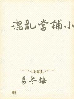 混乱当铺小说